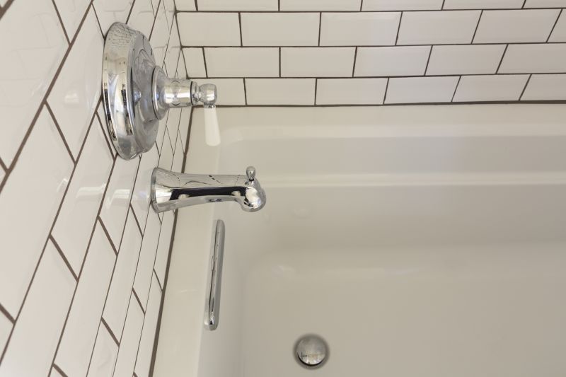 Accessible Bathing Solutions detail